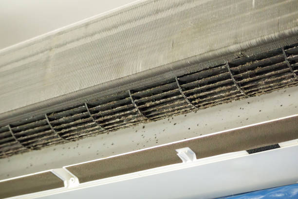 Best HVAC Air Duct Cleaning  in Macon, IL