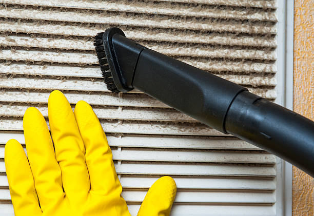 Best Home Air Vent Cleaning  in Macon, IL